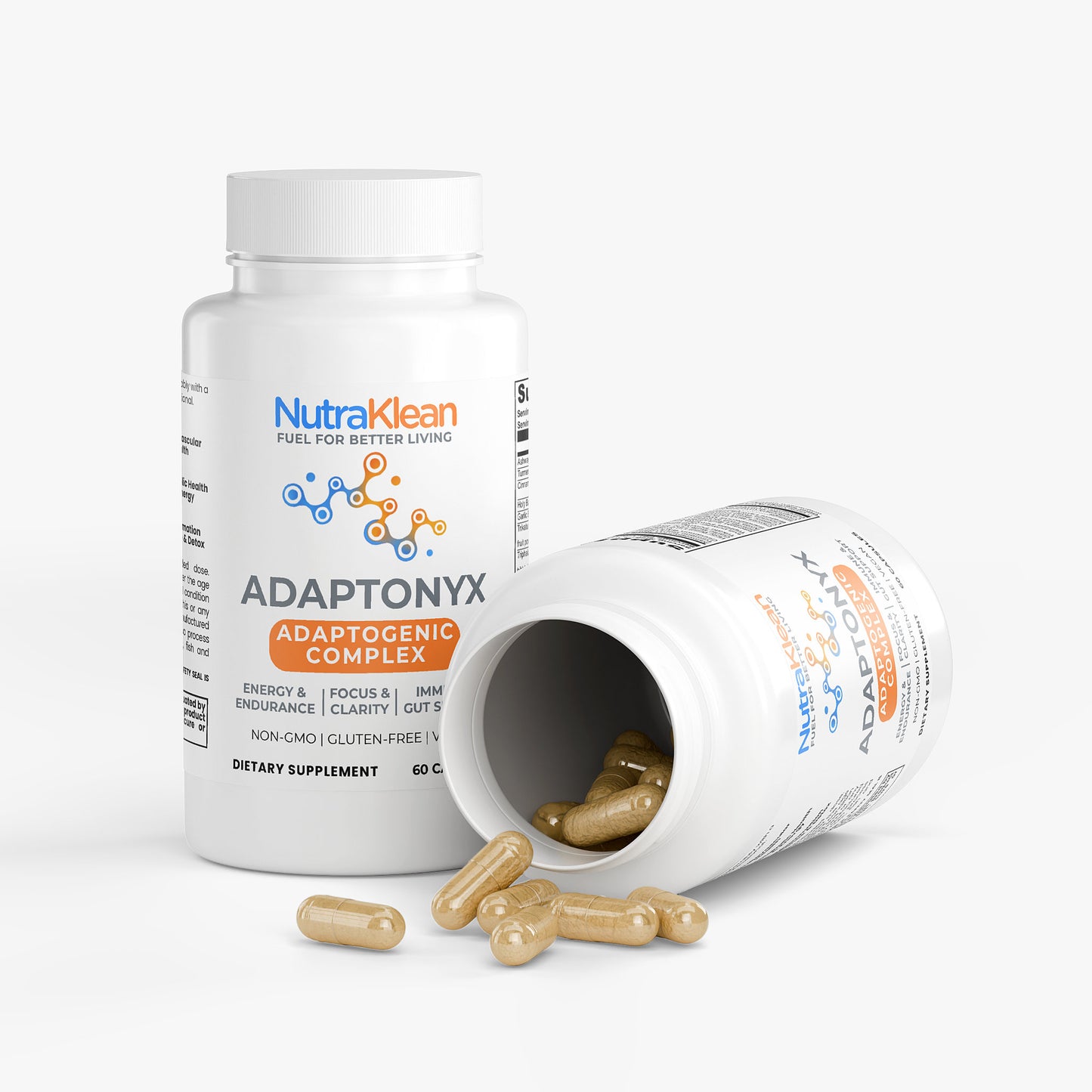 Ayurvedic Complex